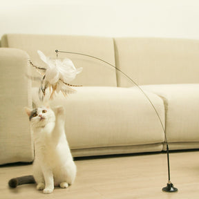 Brinquedo Pássaro Para Gatos Mimus