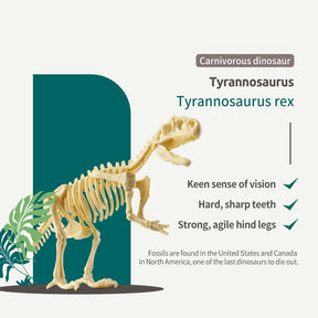 Kit de Escavação de Fósseis de Dinossauros